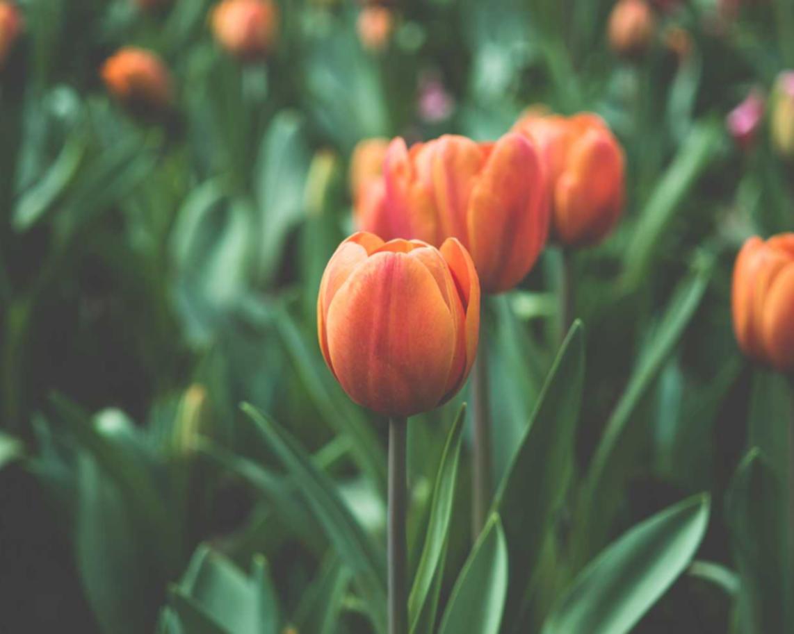 阿里手机卡实名账号：第五人格游戏账号购买平台